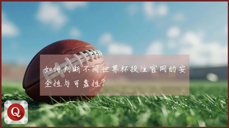 如何判断不同世界杯投注官网的安全性与可靠性？
