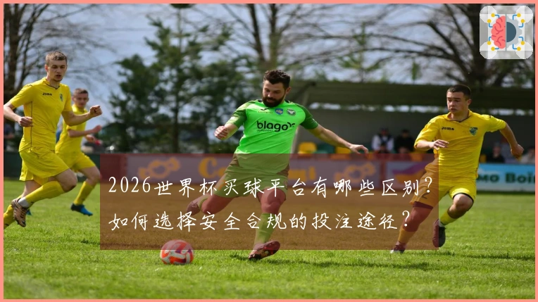2026世界杯买球平台有哪些区别？如何选择安全合规的投注途径？