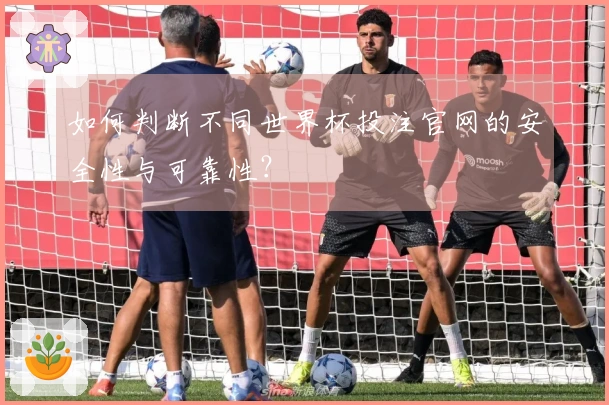 如何判断不同世界杯投注官网的安全性与可靠性？